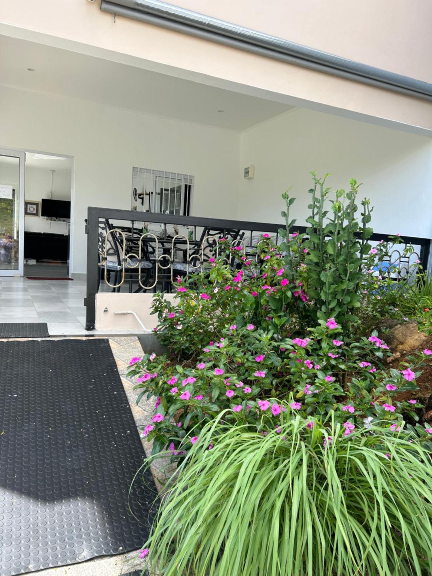 The Olive Tree Apartamento Misere Exterior foto
