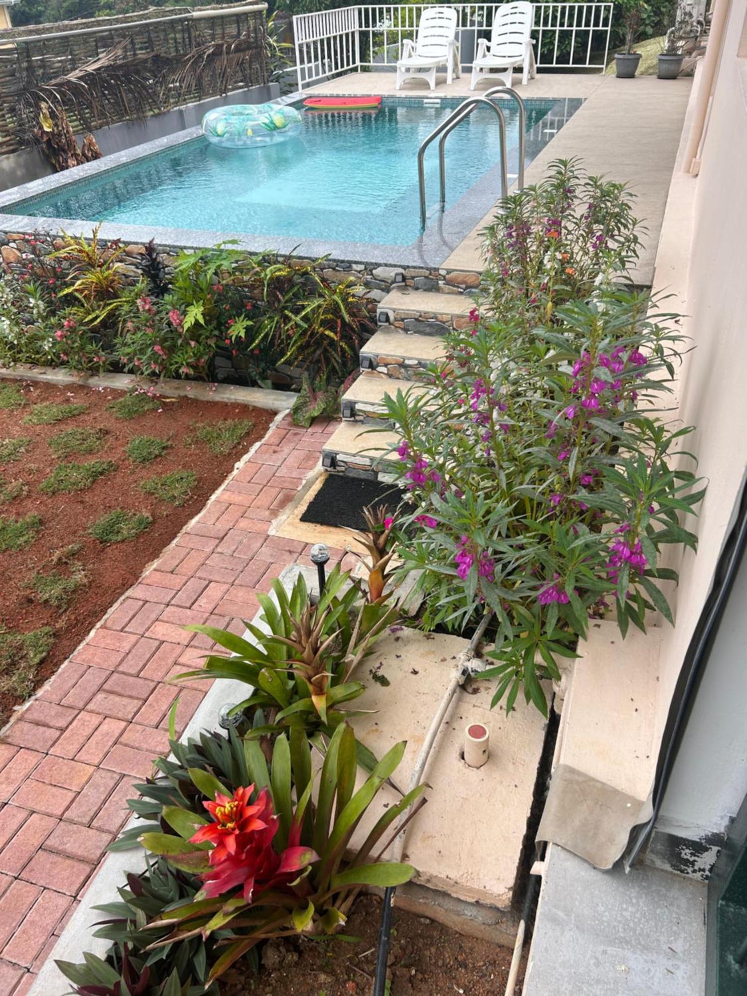 The Olive Tree Apartamento Misere Exterior foto
